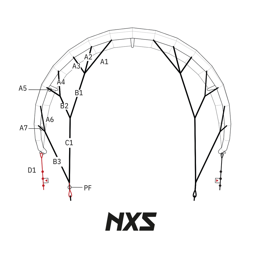 NXS Bridle
